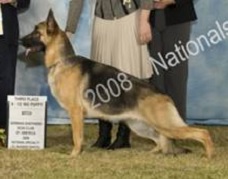 Rosewood's Ginger Punch