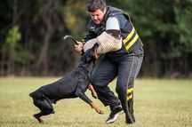 C-Amos von Haus Mann