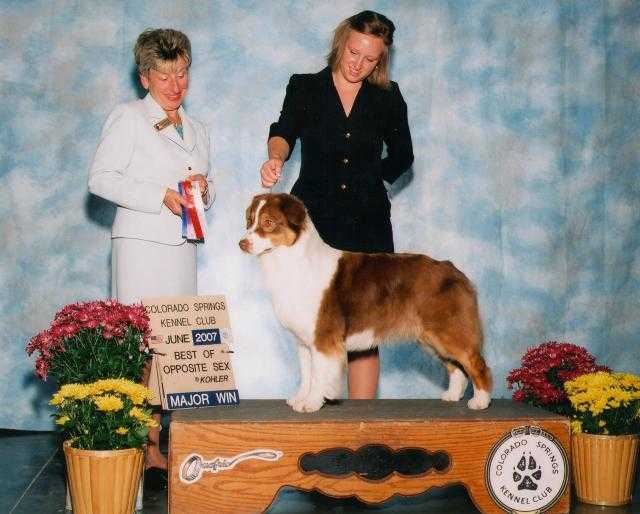 CH Catalinas Aunum Be In Pictures