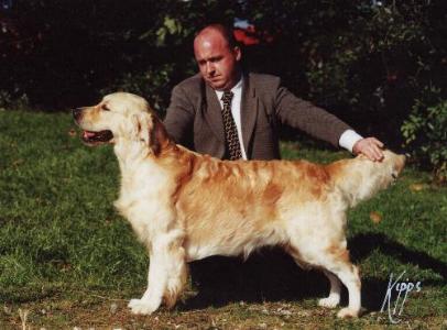 Goldmarker Maestro Man