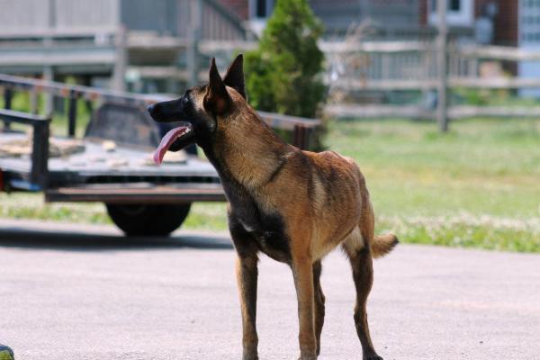 Contessa von hyden super