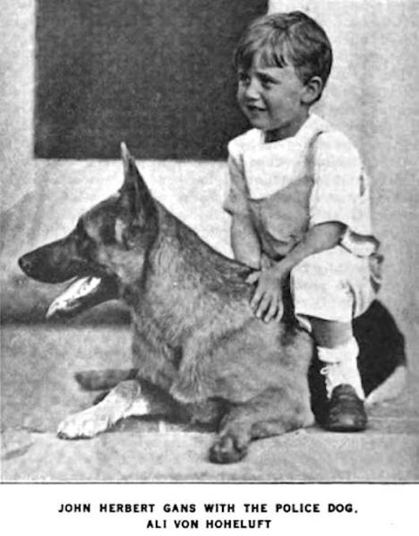 Ali von Hoheluft
