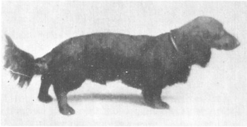 Waldfried Forstrevier