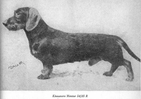 Klausners Mentor