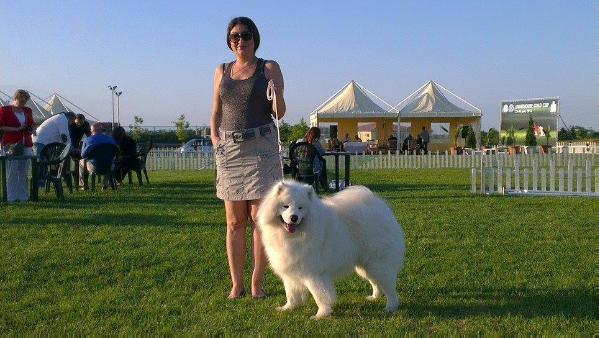 Andersen Samoyeds Arken of Erebor