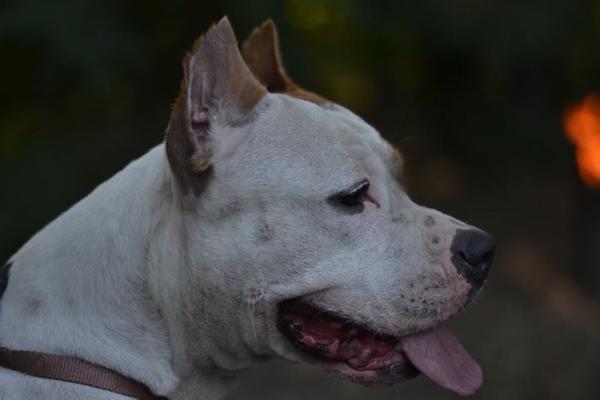 Angelina Jolie Gloria Way