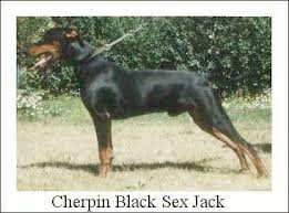 Cherpin BLACK SEX JACK