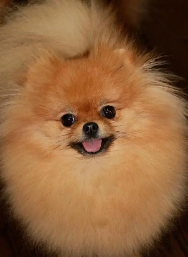 Hitimes Must B Karma