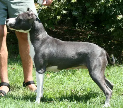 Diamond Bar's New Era China Doll