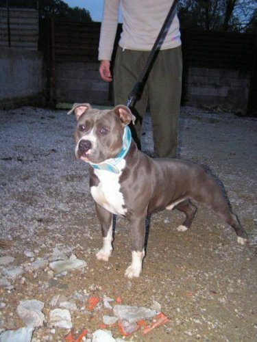 Pacific blue sky vasco