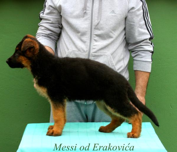Messi od Erakovica