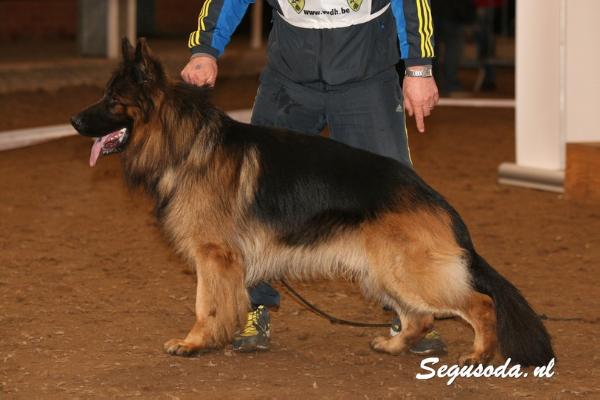 V1 sieger 2015 belgium Asko von der burg reichenstein
