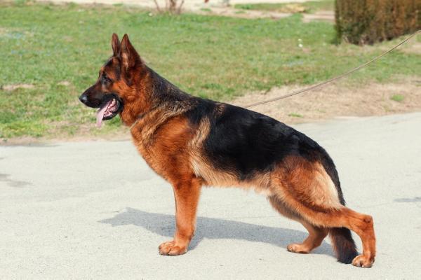 Quando vom Funken Spiel