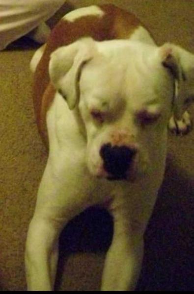 Tanker The Wanker