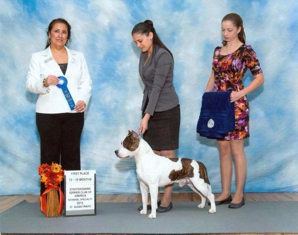 LBK's One Tough Cookie for Glory