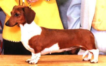 Duchwood's Cornerstone