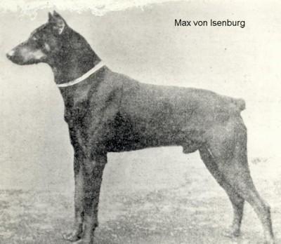 Max von Isenburg (DZB 152)(1904)