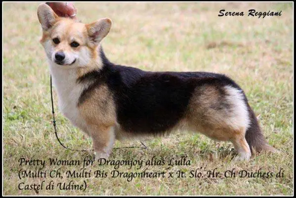 IT.CH Pretty Woman for Dragonjoy