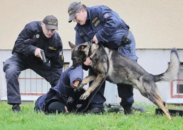 Wincek od Policie Ceske republiky