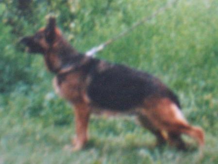 Anni vom Wietzerland