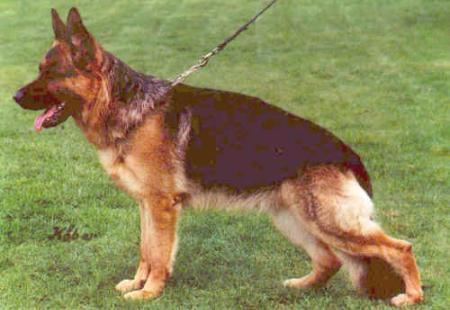 Largo aus Wattenscheid