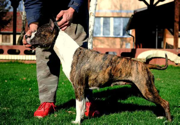 Hi Class Lady M’KILLKEA