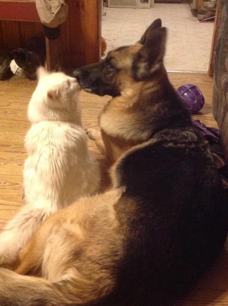 Touchstone's Scarborough Fair