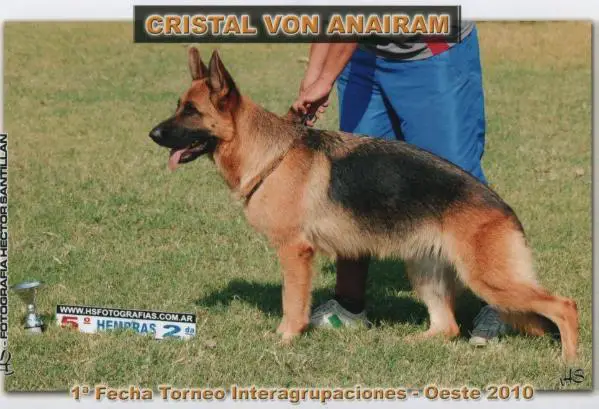 Cristal Von Anairam