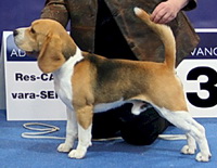 CH Harnet Watercolorurs in the Rain