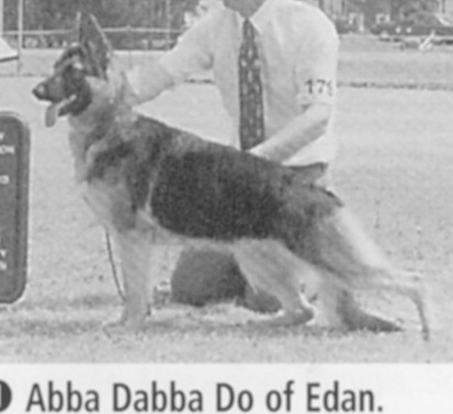 CH (US) Abba Dabba Do Of Edan