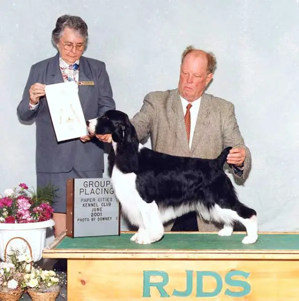 CH Laurdan's Moonlight Serenade