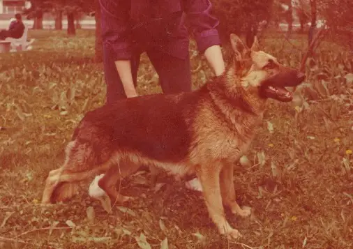 Keimi Valmarg U'Korlin