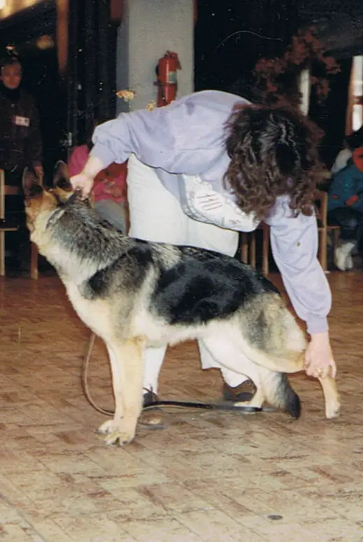 HJHC,-HCH,-EU.GY. Hurkatöltési Cumpi