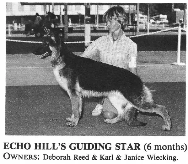 Echo Hills Guiding Star