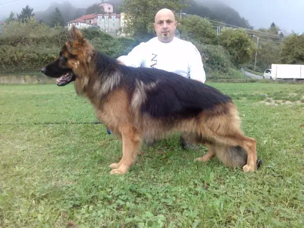 Sonny di Casa Max