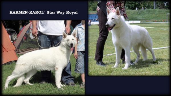 JCH UA KARMEN-KAROL` Star Way Royal