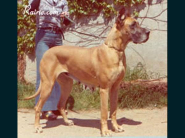 Vania Du Gui De La Michardiere