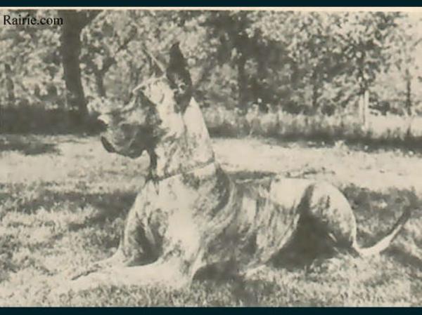 Helke vom Kürenberg