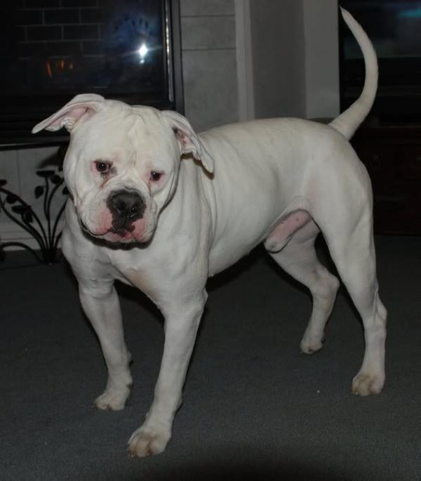 MANSTOPPERS Axle of ANRCY