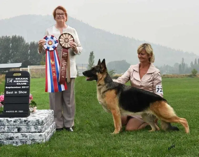 AM CH/CAN GrCH Kohlein's Estrella