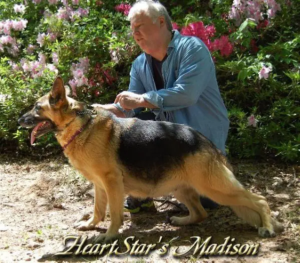 HeartStar's Madison