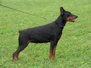 Queny del Pais Baviera