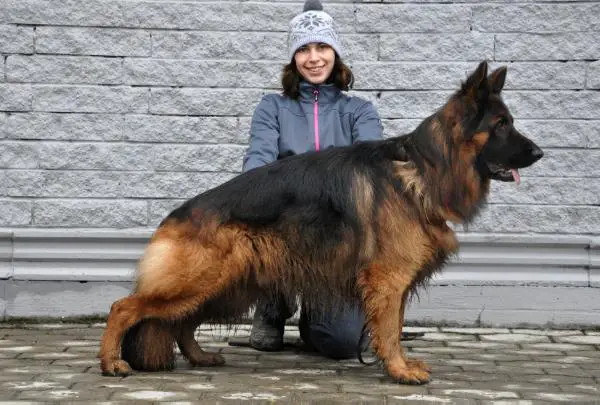 Sancho vom Zellergrund