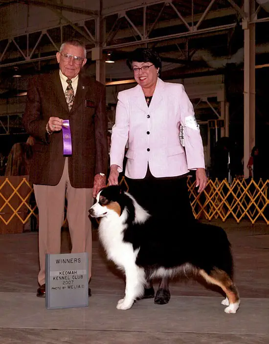 GCH Fiann Silver Sabre at Myshara