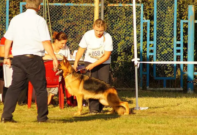 Germiona Del Casa Favore