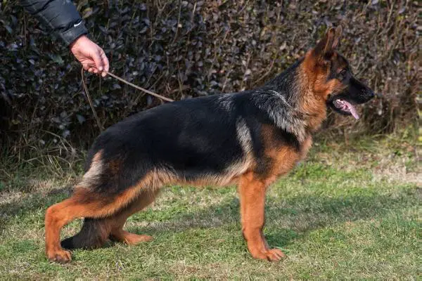 Marc vom Team Panoniansee