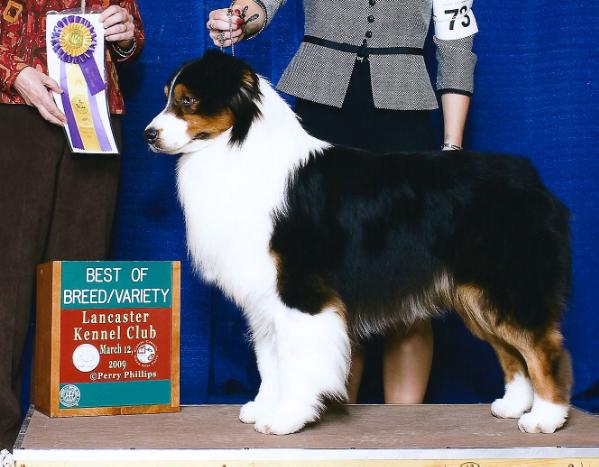 CH Legacy's Soul Patrol