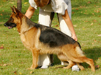 V Zilber Wasserfall Yunissa