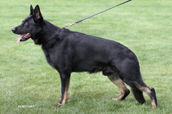 Nyrvana Divokej Bill