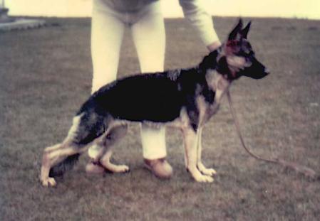 V Sirka vom Hambachtal